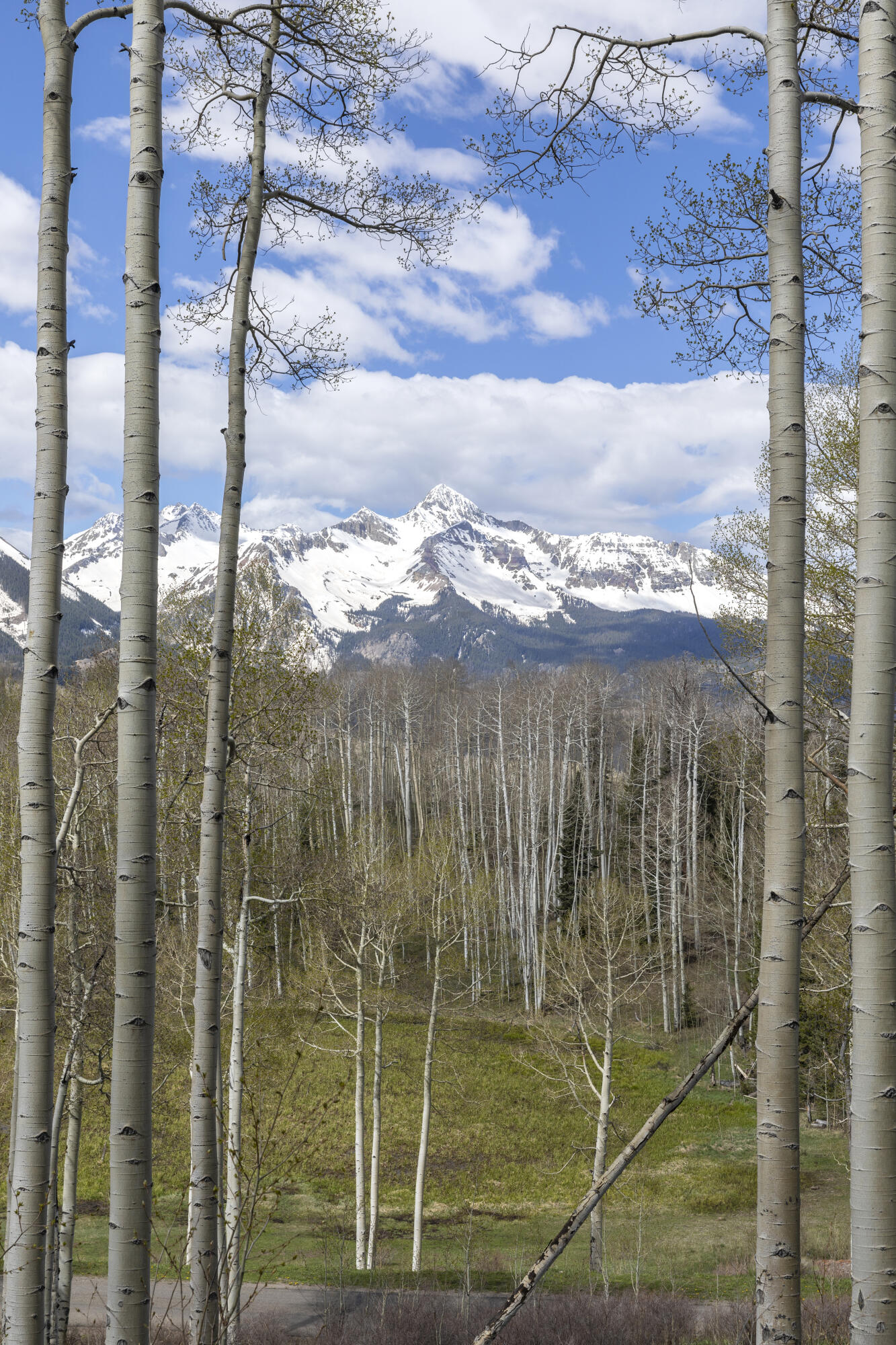 Tbd Elk Run Property Photo 15