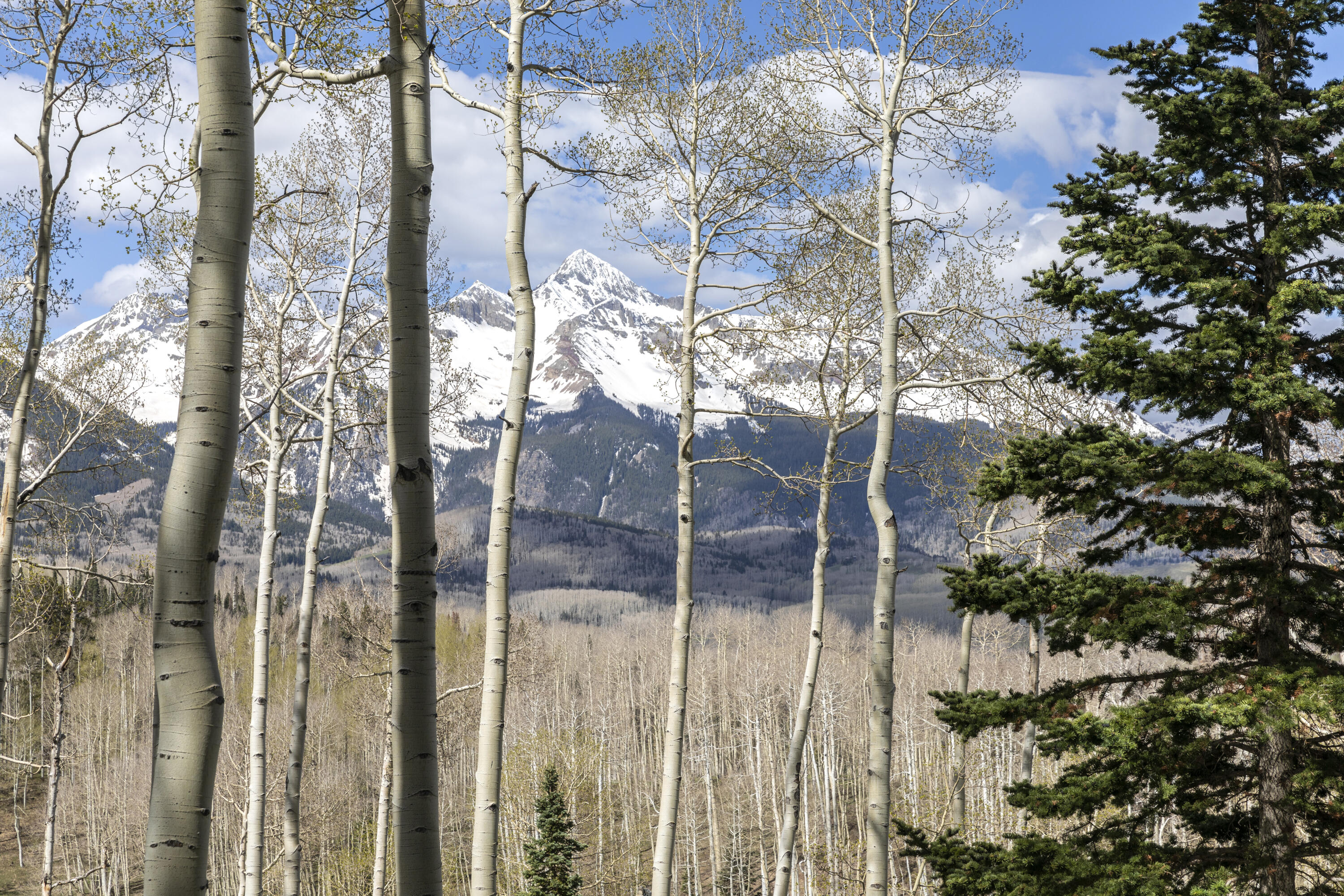 Tbd Elk Run Property Photo 17