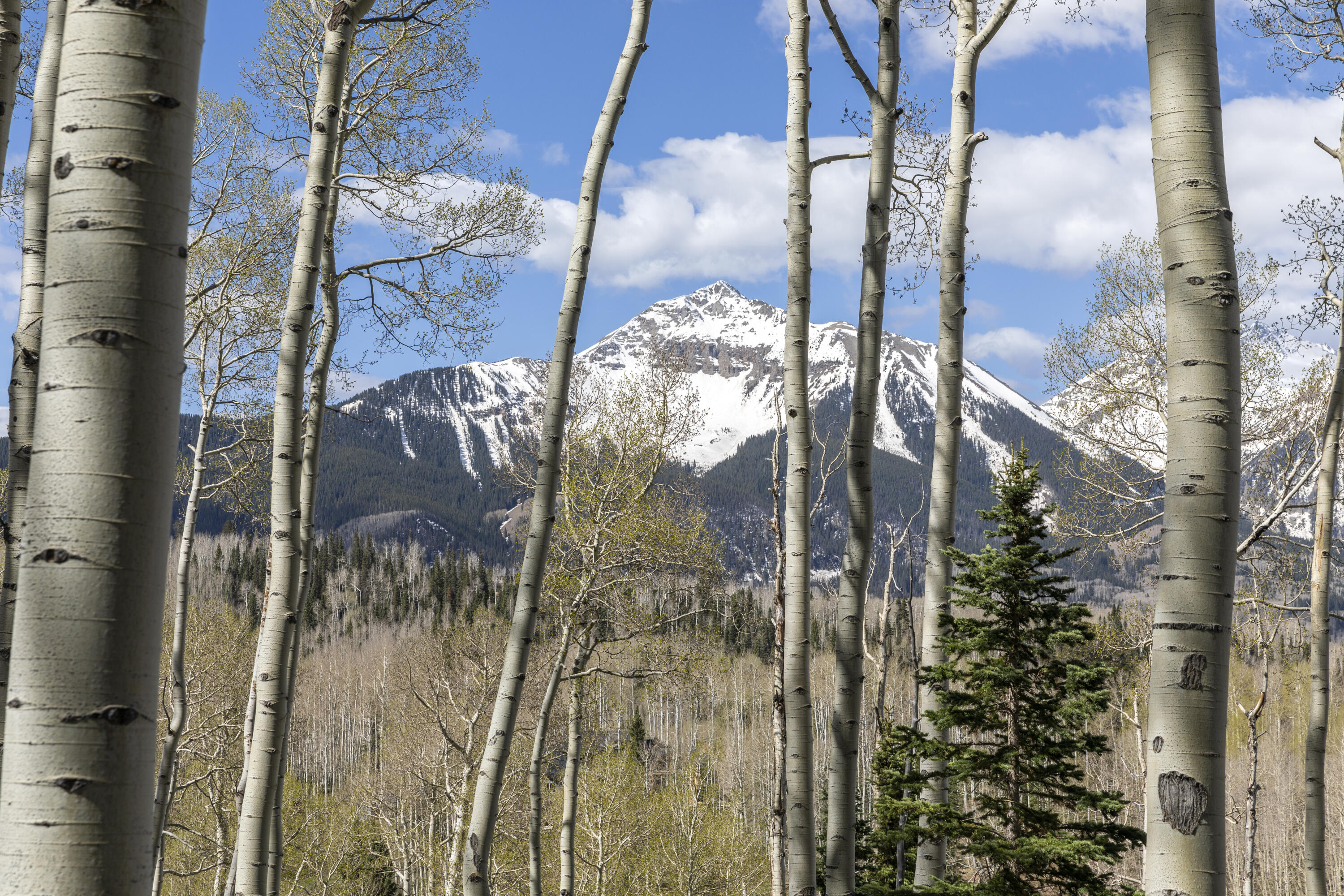 Tbd Elk Run Property Photo 19