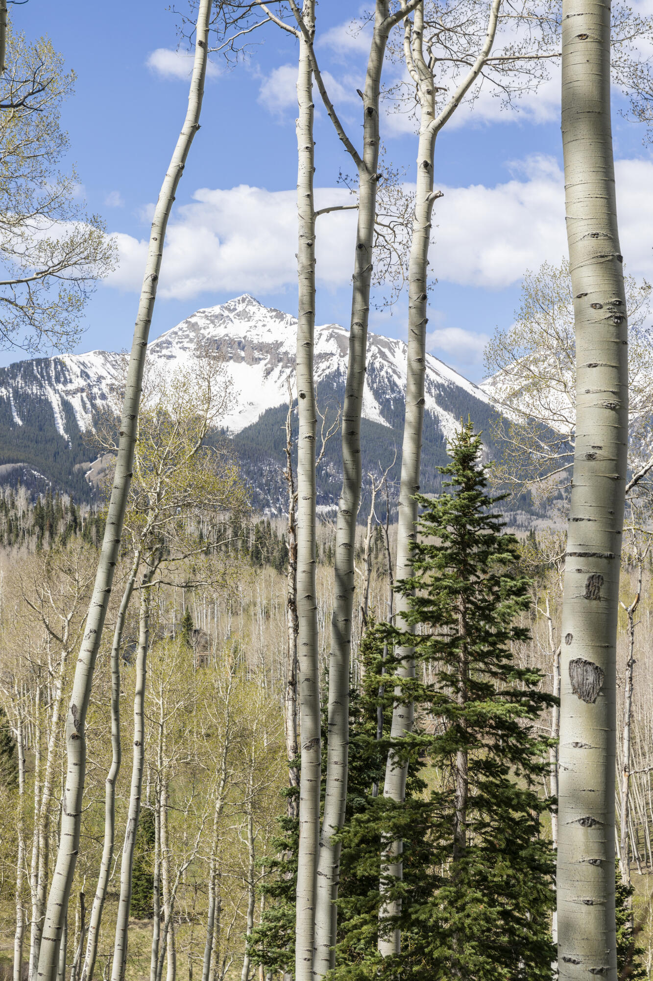 Tbd Elk Run Property Photo 22