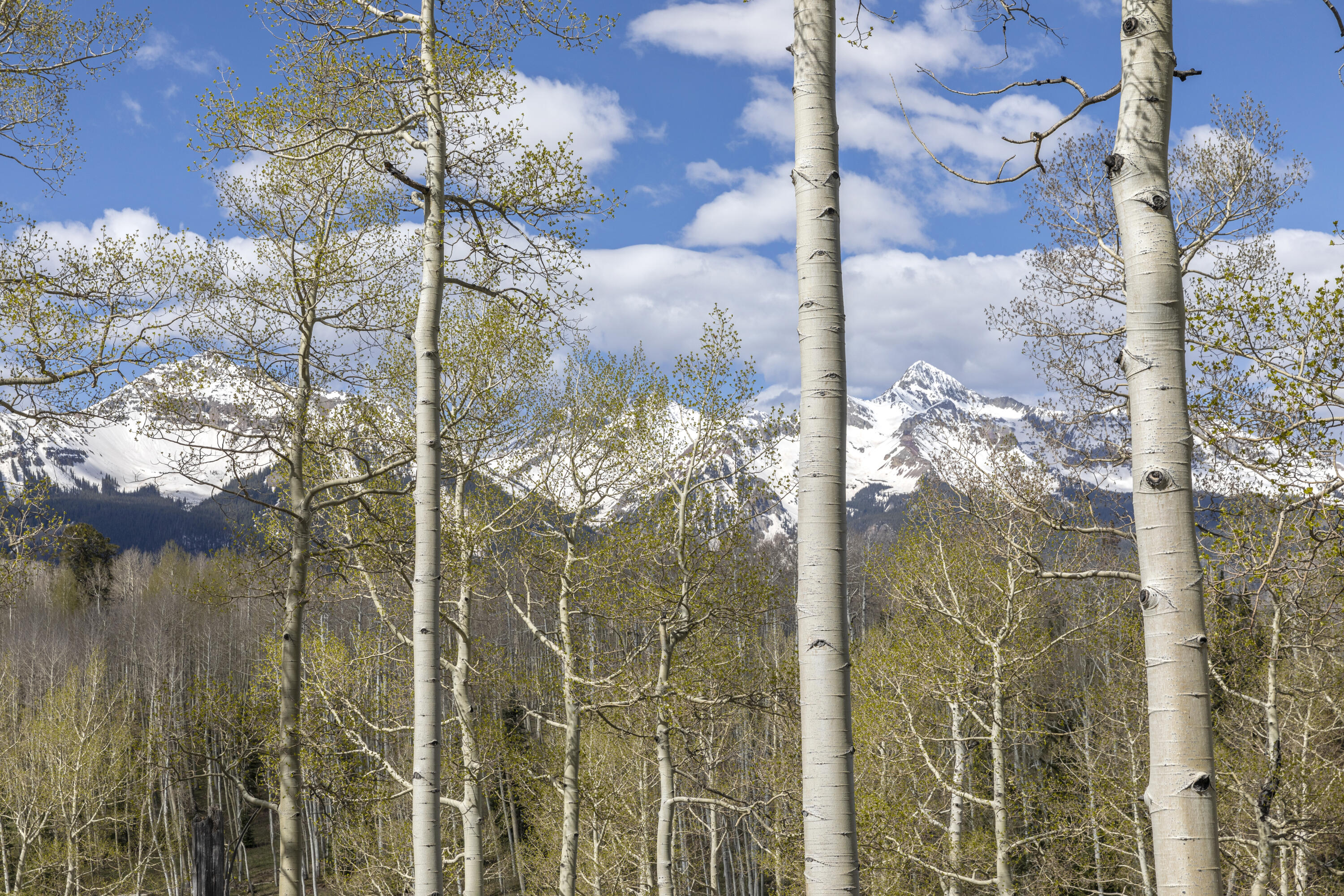 Tbd Elk Run Property Photo 24