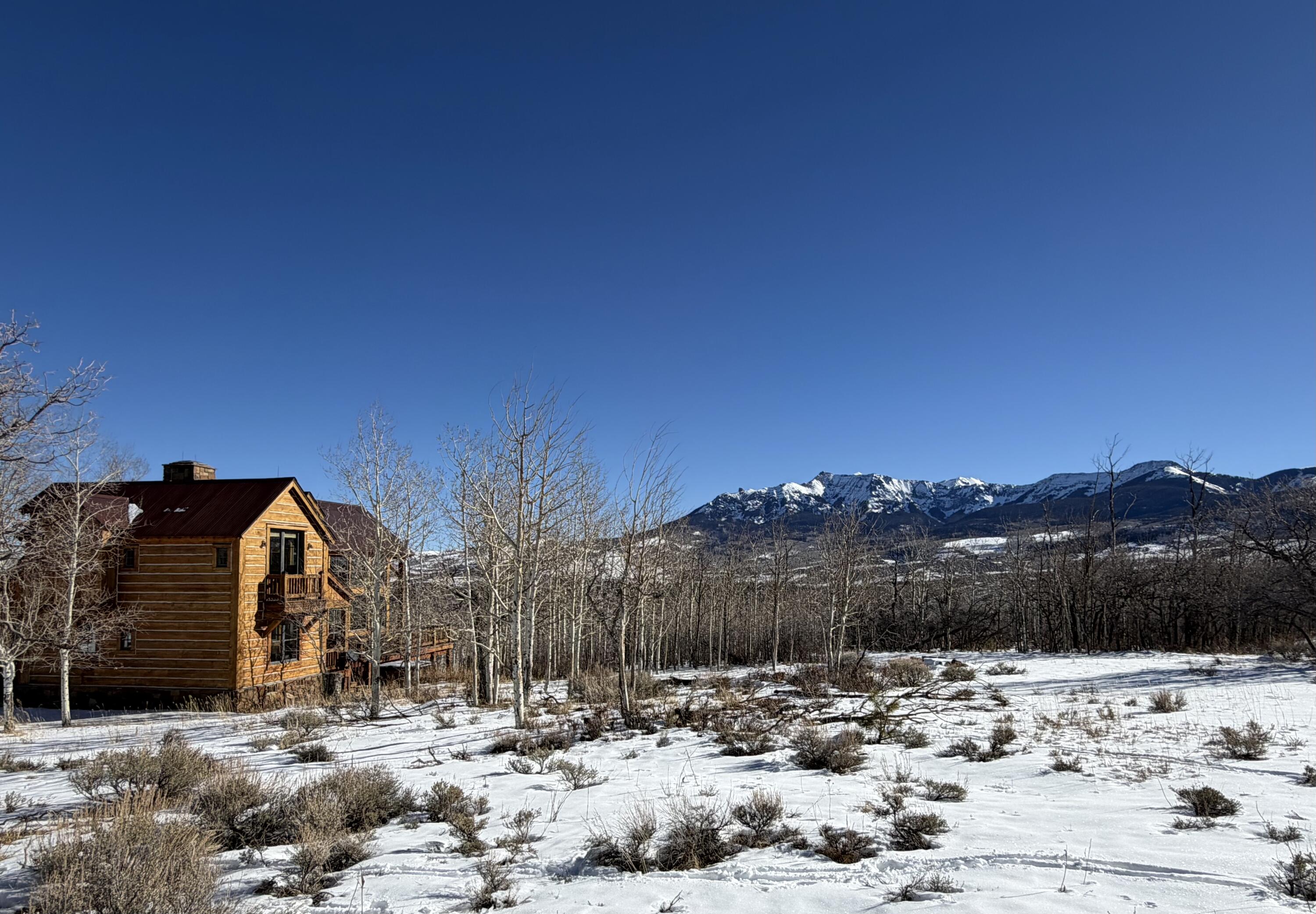 1036 Harcourt Trail Property Photo 41