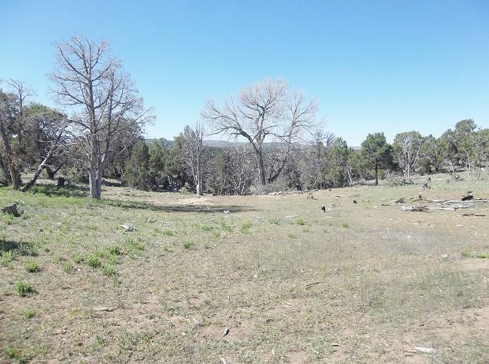 Tbd Co-145 Property Photo 4