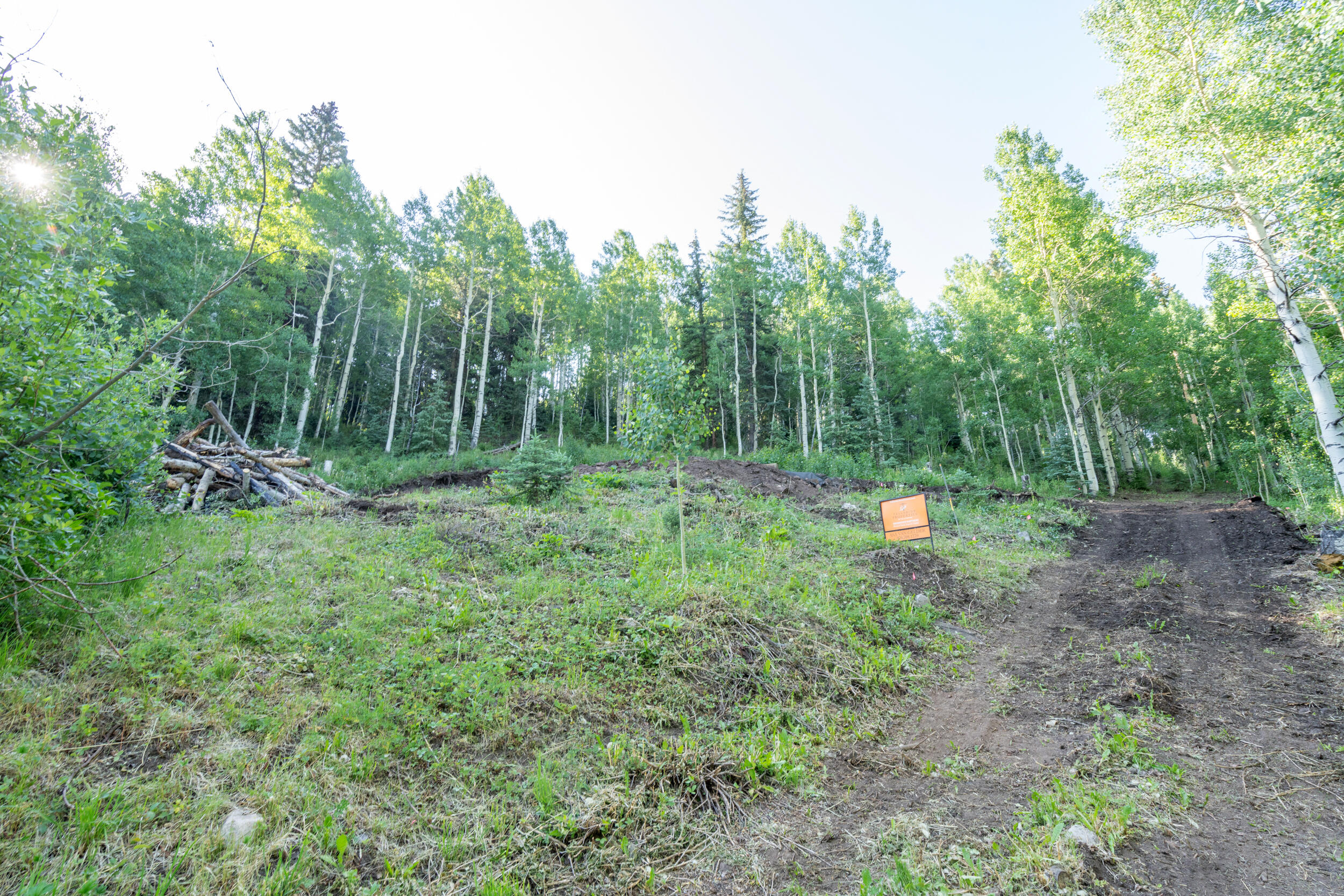 25 Garfield Street Property Photo 5