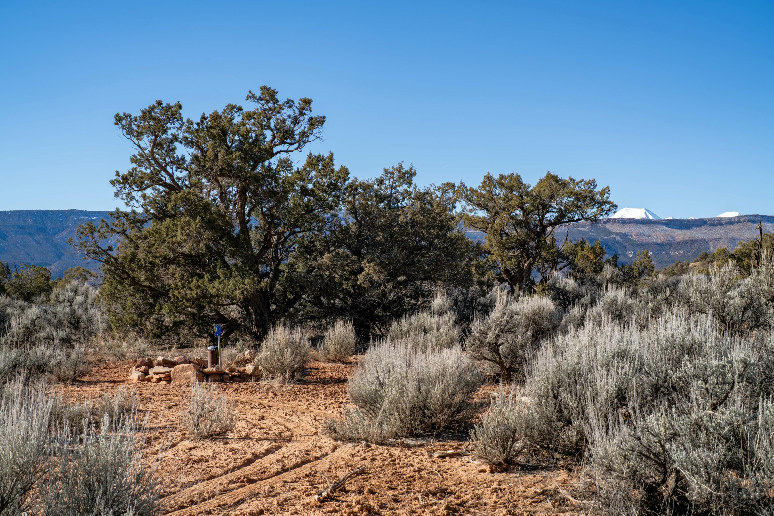 Tbd Tbd Property Photo 12