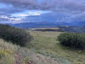 Tbd Mountain Flower Drive Property Photo 6