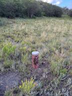 Tbd Mountain Flower Drive Property Photo 9