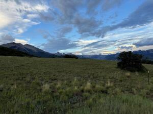 Tbd Mountain Flower Drive Property Photo 12