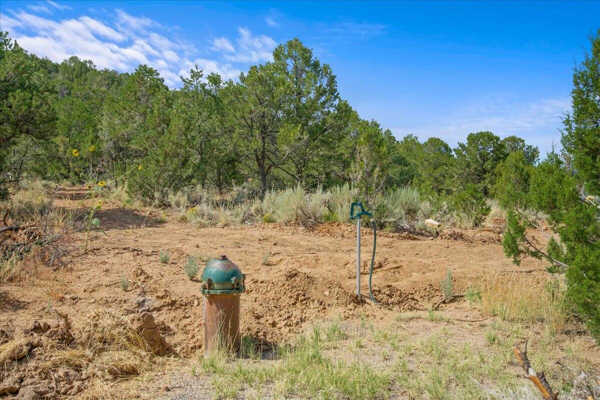267 County Road 1e Property Photo 9