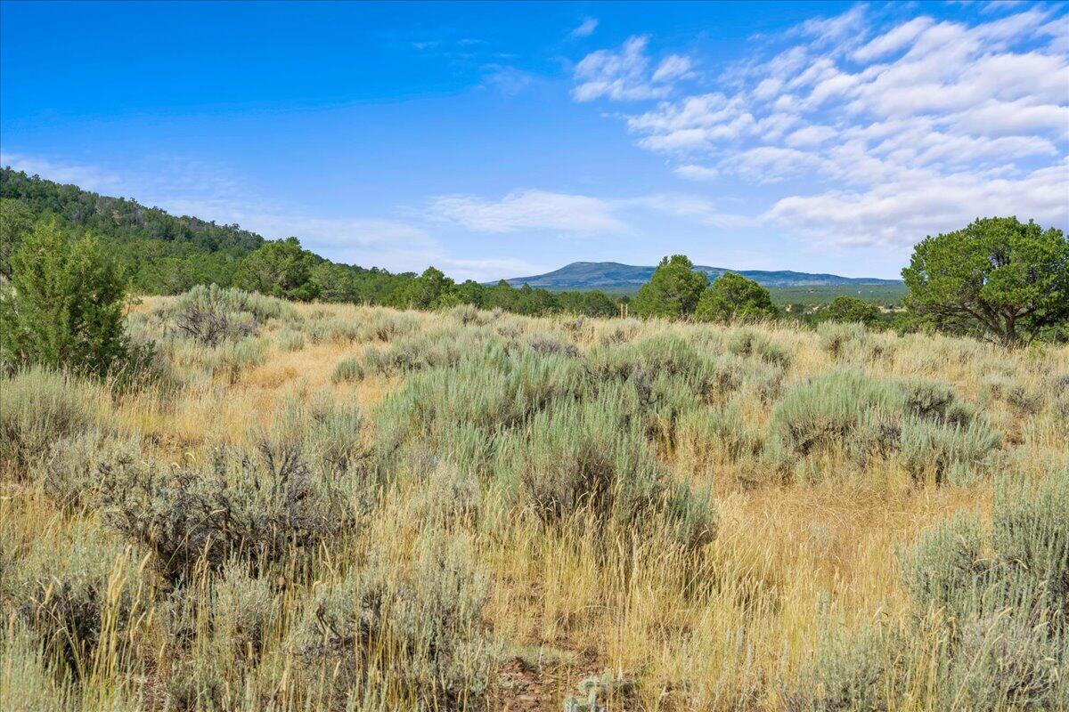 267 County Road 1e Property Photo 15