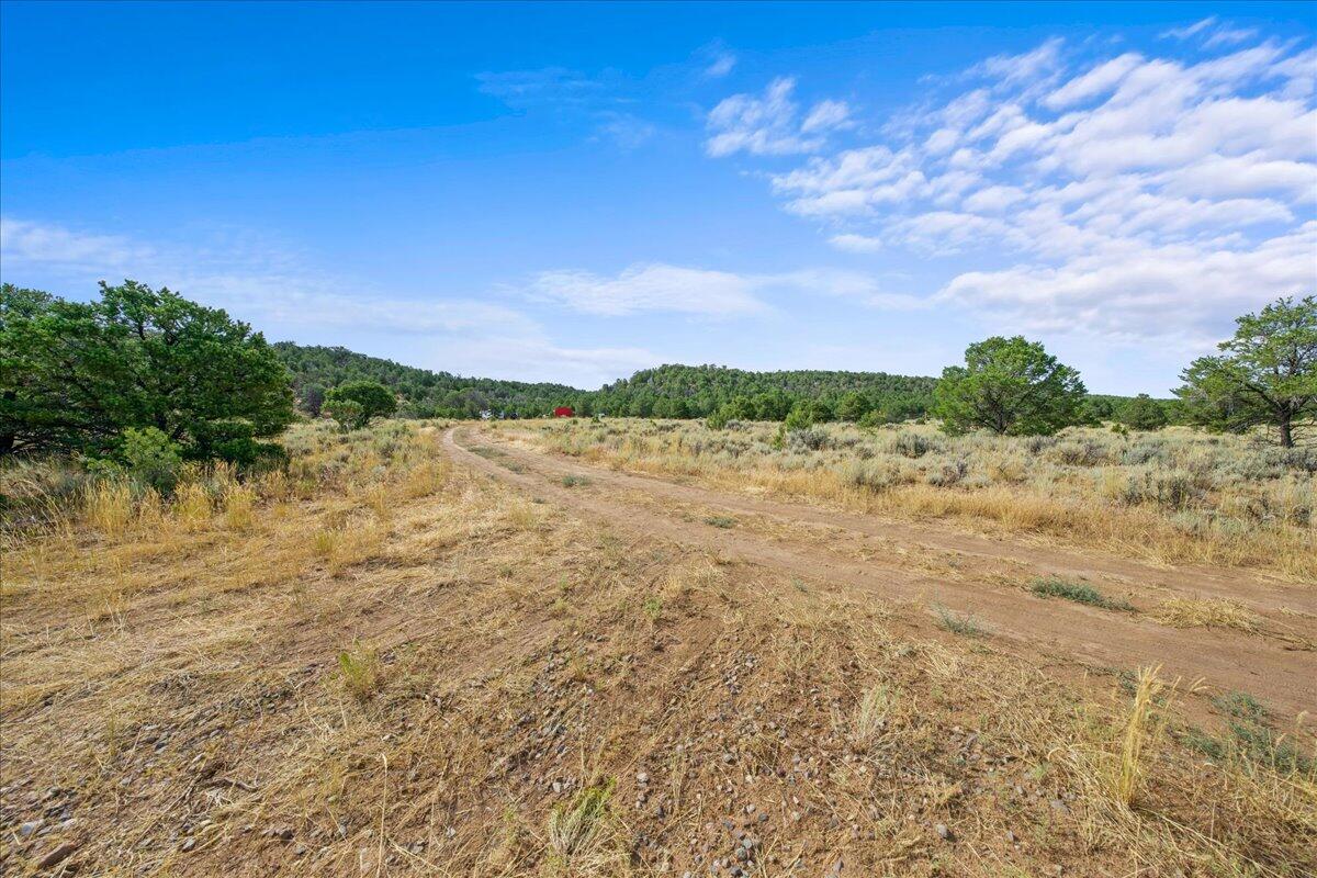267 County Road 1e Property Photo 16