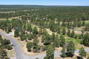 1640 Marmot Drive Property Photo 10