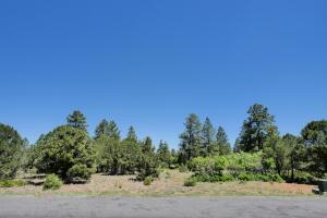 1640 Marmot Drive Property Photo 28