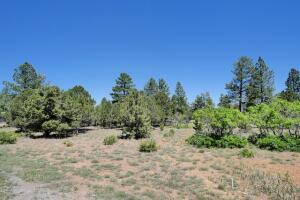 1640 Marmot Drive Property Photo 29