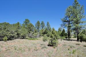 1640 Marmot Drive Property Photo 30