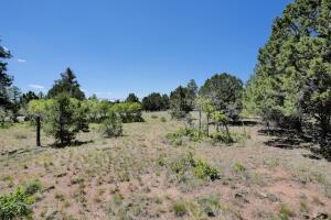 1640 Marmot Drive Property Photo 31
