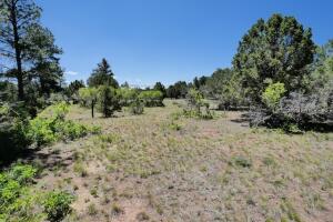 1640 Marmot Drive Property Photo 32