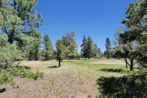 1640 Marmot Drive Property Photo 33