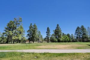 1640 Marmot Drive Property Photo 34