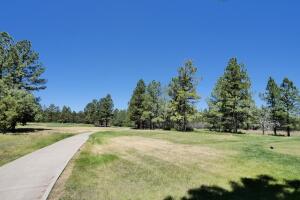 1640 Marmot Drive Property Photo 35