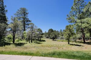 1640 Marmot Drive Property Photo 36