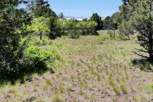 1640 Marmot Drive Property Photo 37
