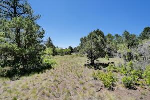 1640 Marmot Drive Property Photo 38