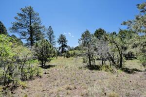 1640 Marmot Drive Property Photo 39
