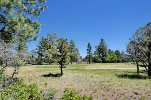 1640 Marmot Drive Property Photo 40