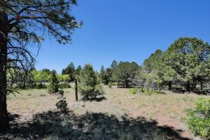1640 Marmot Drive Property Photo 41