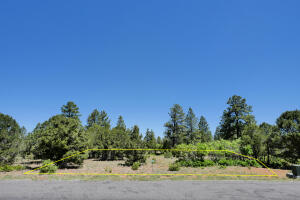 1640 Marmot Drive Property Photo 43