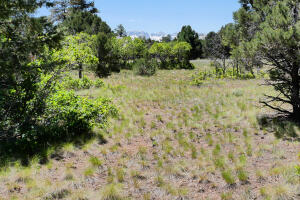 1640 Marmot Drive Property Photo 44