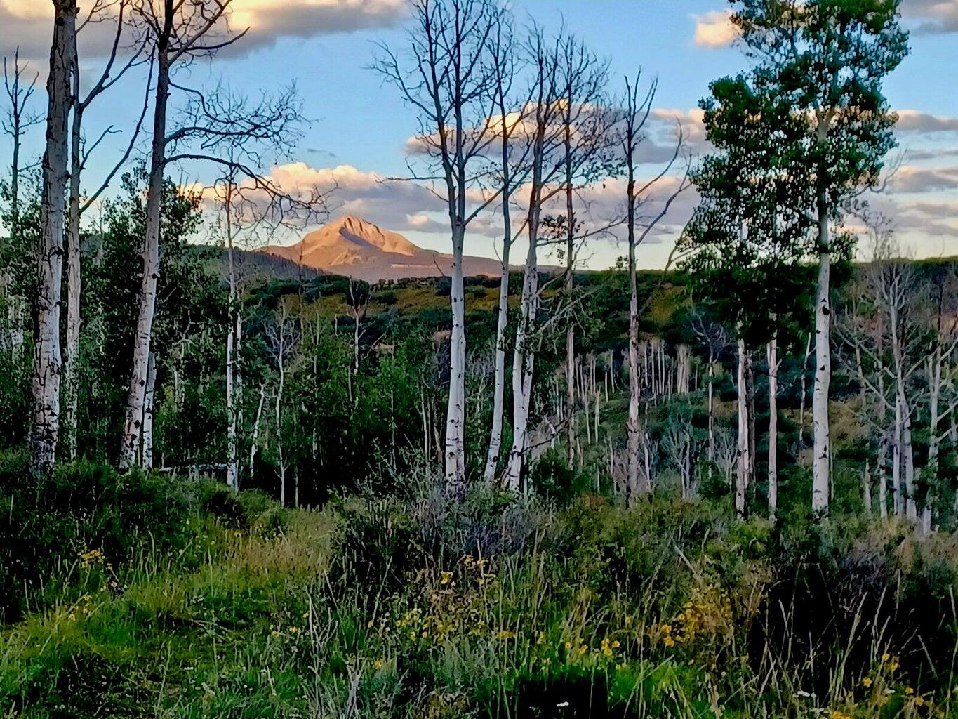 Tbd County Road M44 Property Photo 1