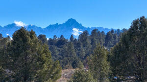 Tbd Jumping Tree Trail Property Photo