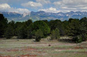 Tbd Ponderosa Drive Property Photo 1