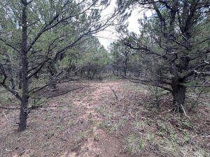 Tbd Canyon Drive Property Photo