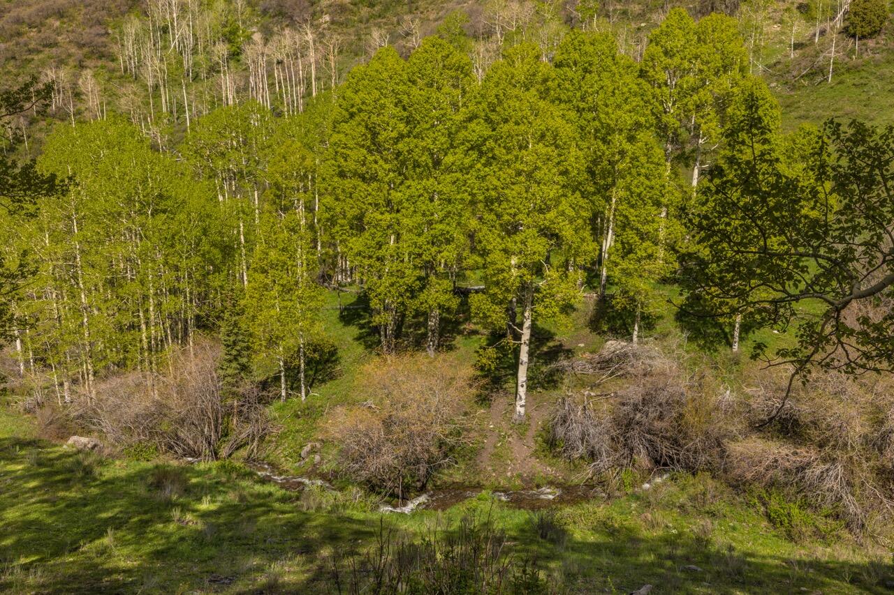 107 Joaquin Road Property Photo 30