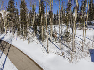 C-2 Tunnel Lane Property Photo 5