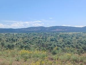 County Road 25r Property Photo 12