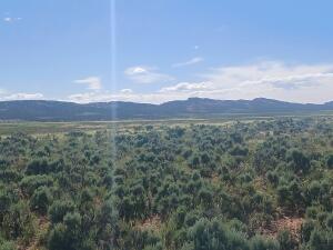 County Road 25r Property Photo 15