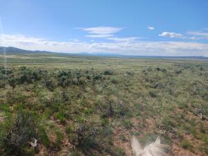 County Road 25r Property Photo 16
