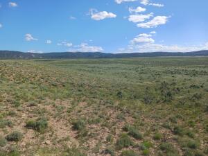 County Road 25r Property Photo 17