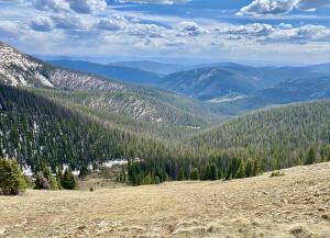 Colorado Real Estate Listings Main Image