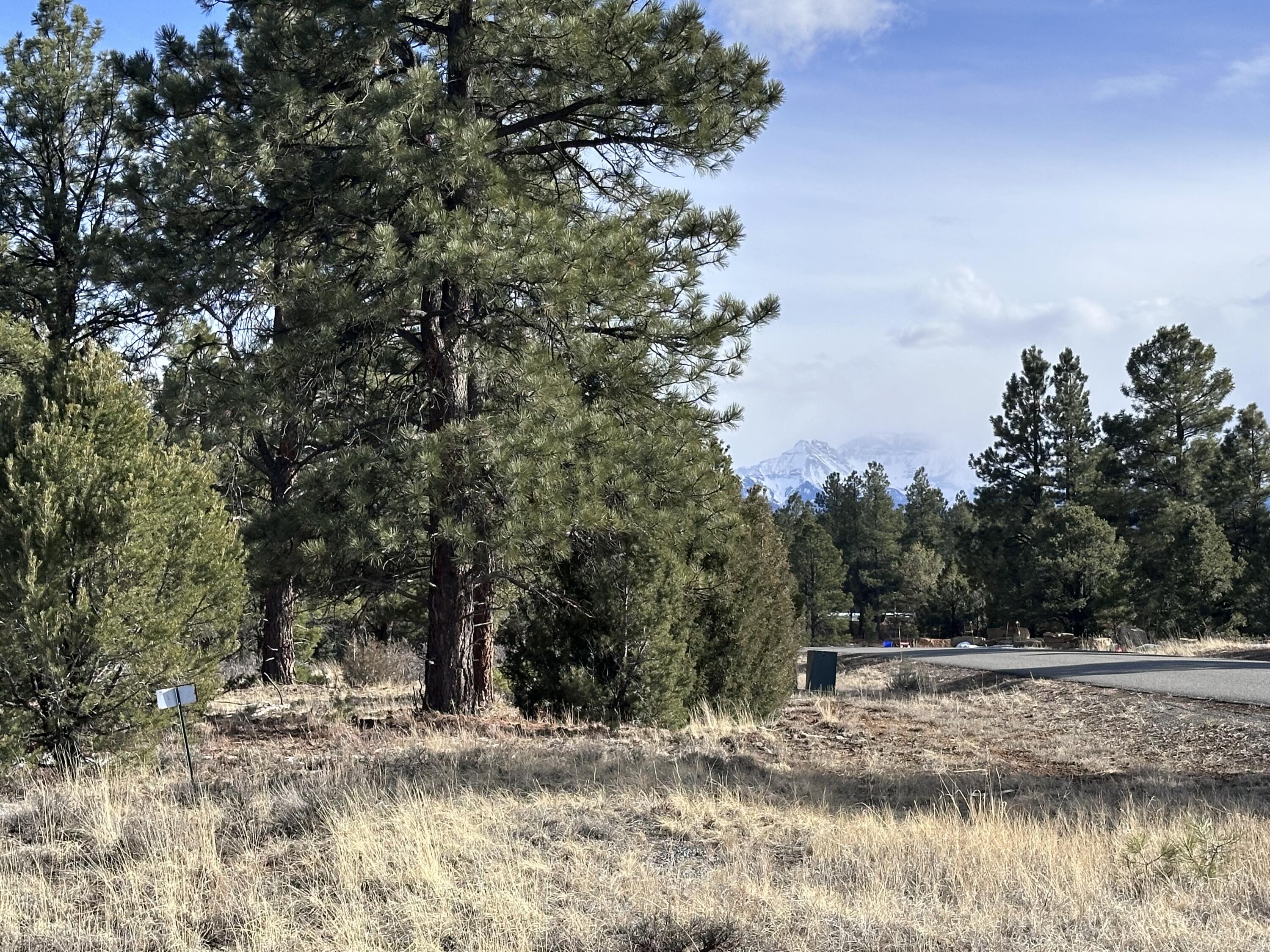 1960 Marmot Drive Property Photo 1