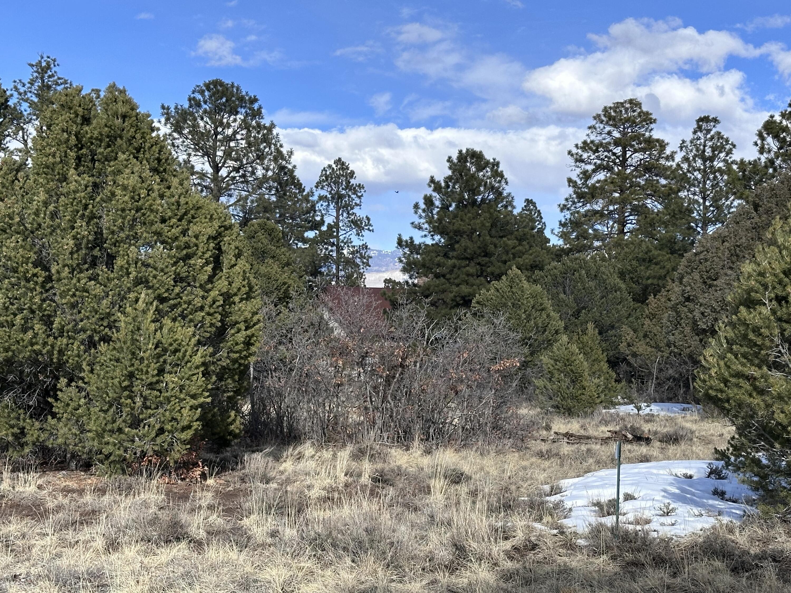 1960 Marmot Drive Property Photo 4