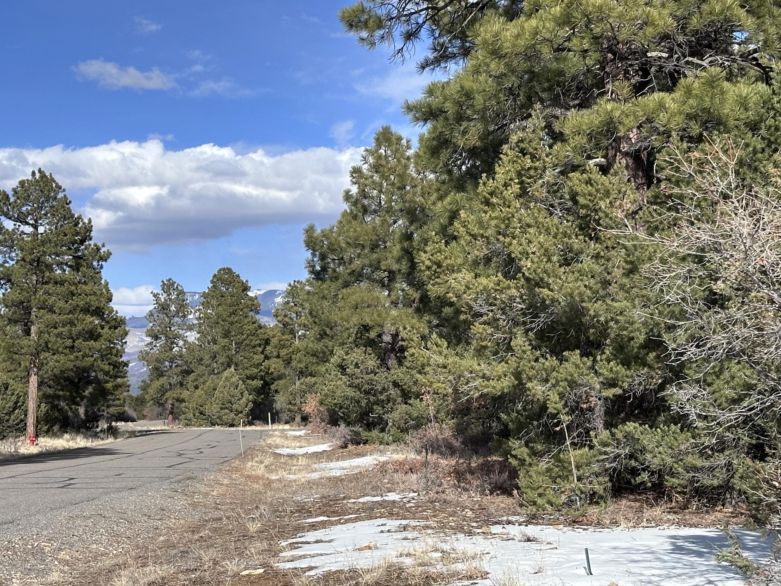 1960 Marmot Drive Property Photo 7