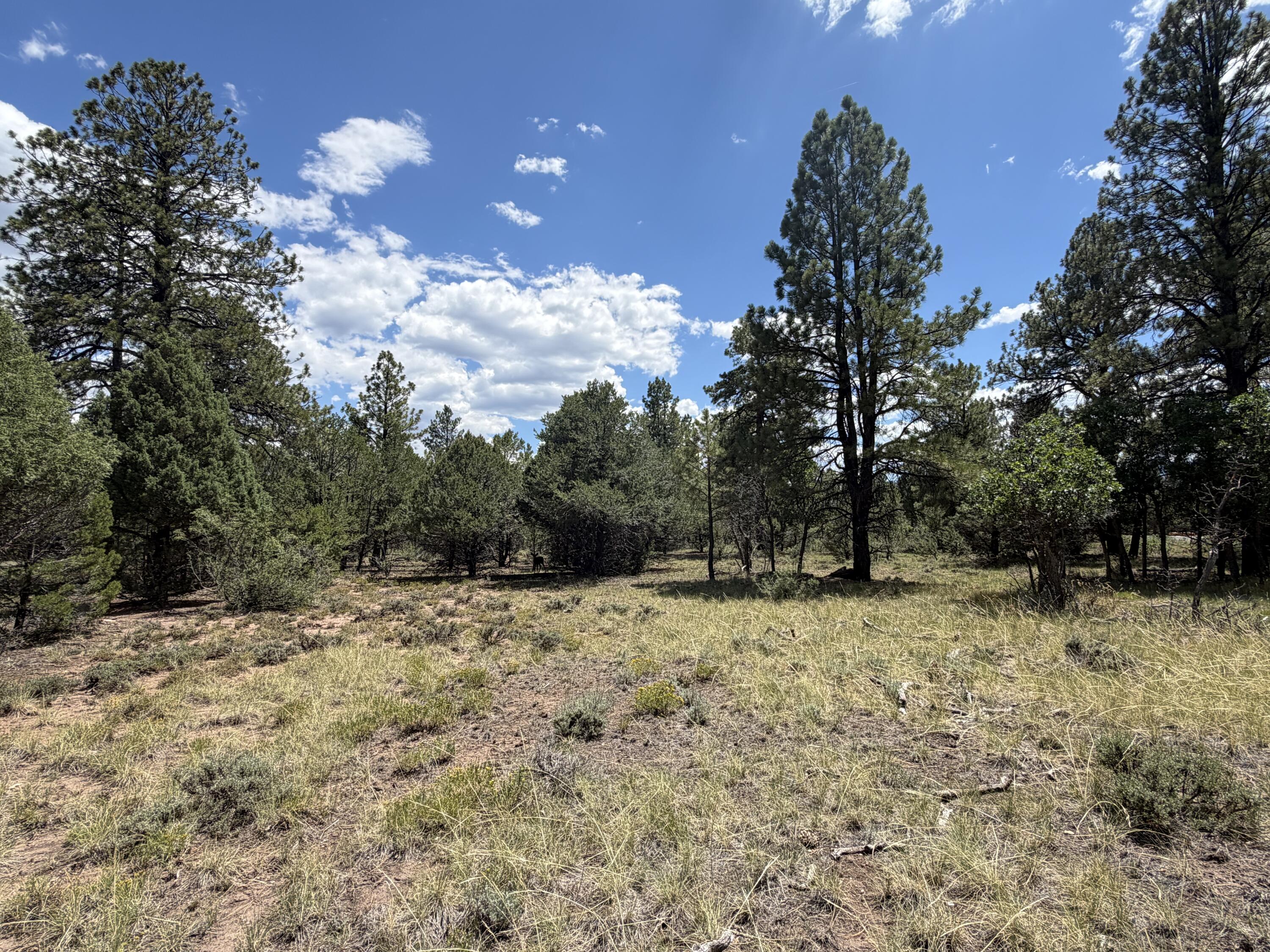 1960 Marmot Drive Property Photo 19