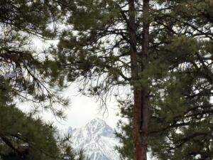 102 Big Canyon Pt Property Photo 1