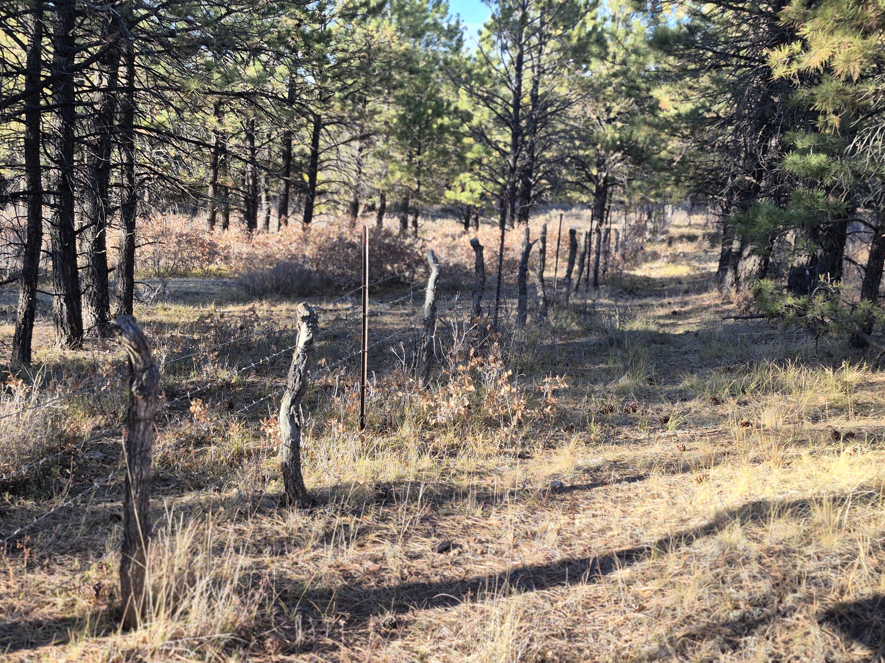 Tbd South Avalon Property Photo 5
