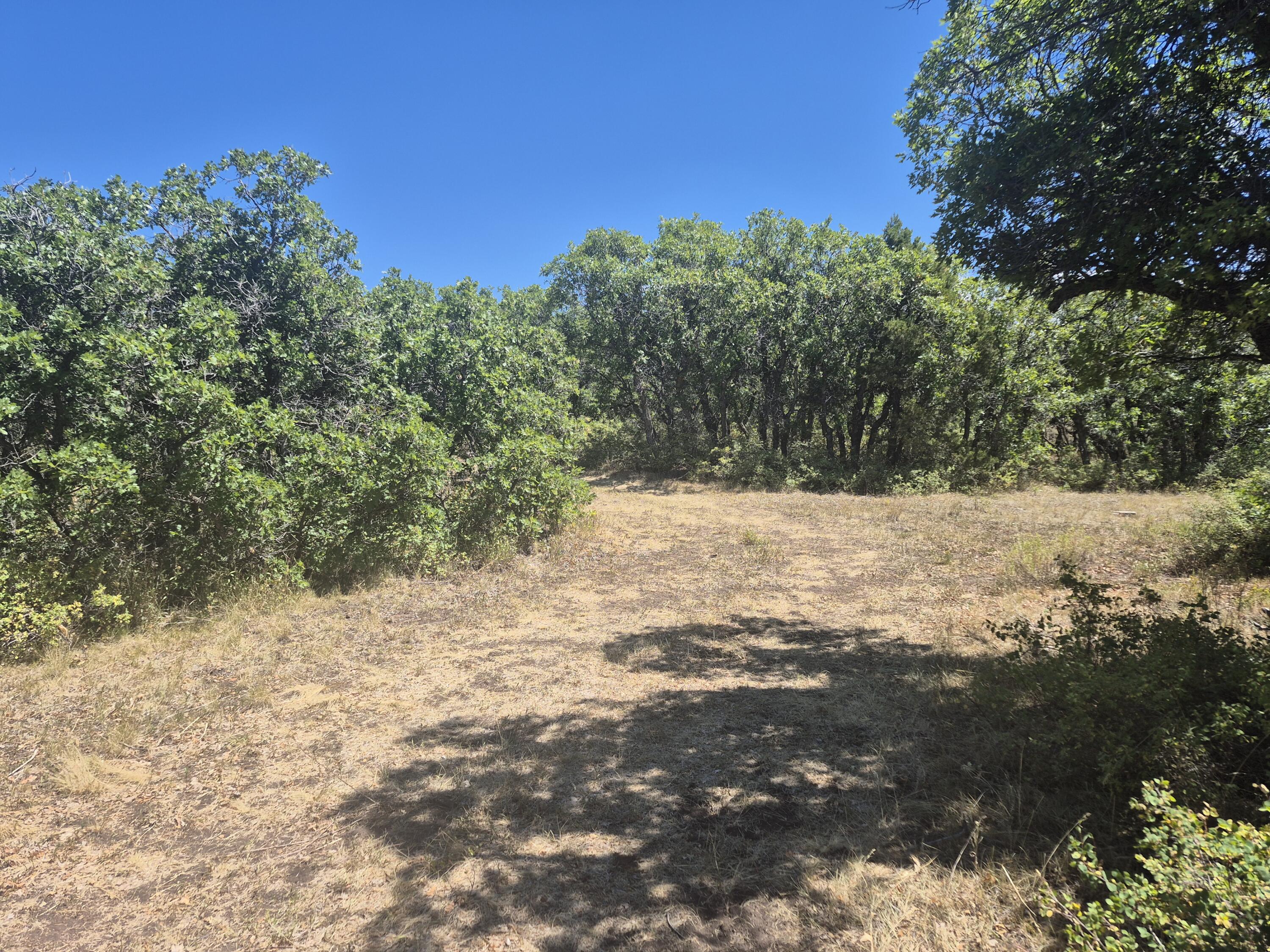 Tbd South Avalon Property Photo 9